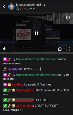 twitch 1.jpg