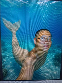 mermaid.jpg