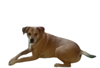 1785129125584.png