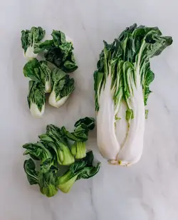 bok-choy-2[1].jpg