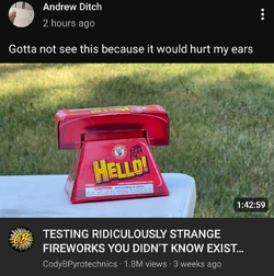 4993.jpg