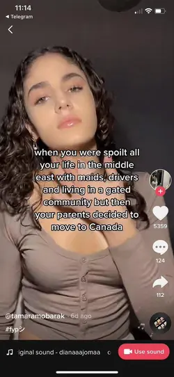 1785336541197.png