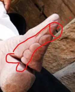 1785339137449.png