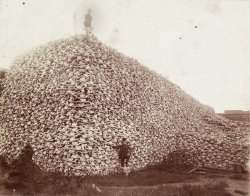 skullmountain.jpg