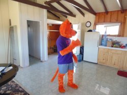 IMG_20191002_164309.jpg