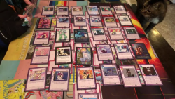 Chris Chan Sonichu plays Twilight Sparkle’s Secret Shipfic Folder, Solitaire-Lucy.png