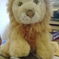 Lion-with-the-mouse