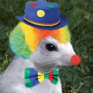 m0rnutz