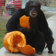 Da Great Ape