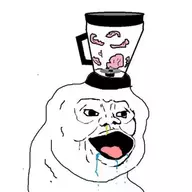 snort beg snort