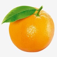Photo of an orange