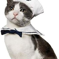 Sailor