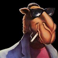 Camel joe