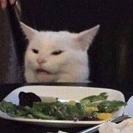 Vegan Cat