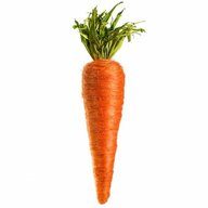 carrotferret