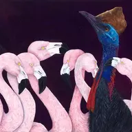cassowary lover