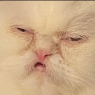 Eatabug