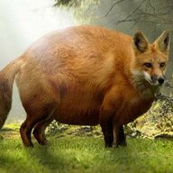 Nuggie McTendie