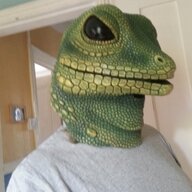 Not At All A Lizard