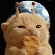 Butterflycat