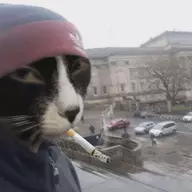 Averagest Redditor