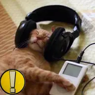 The Honeyed Cat