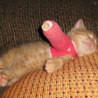 Broken Pussy