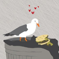 A Seagull