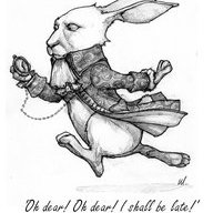 WyattRabbit