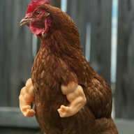 Skinless Nugget