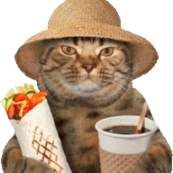 Lonely Millennial Cat
