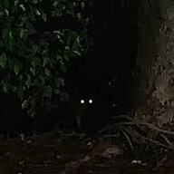 PermaLurker69