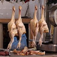 Chickenpolar