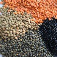 The lentils