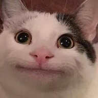 Trash Neko