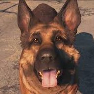 RodgerDodger
