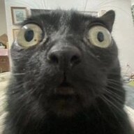 Marsey Cat