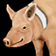 A pig by Jove!