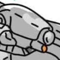Raven-621