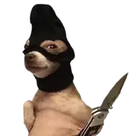 skunt