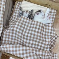 spy.pet