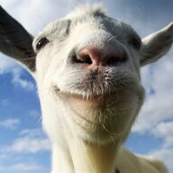 Goatis