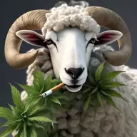 I Hate Sheeps