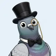 fancy pigeon