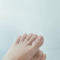 Panktoes