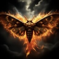 Moth to a flame
