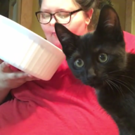 Cereal Killer