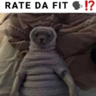 Crithir