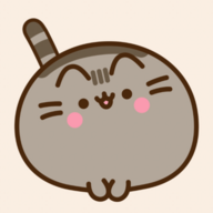 pusheen lover