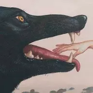 dog with sharper teeth